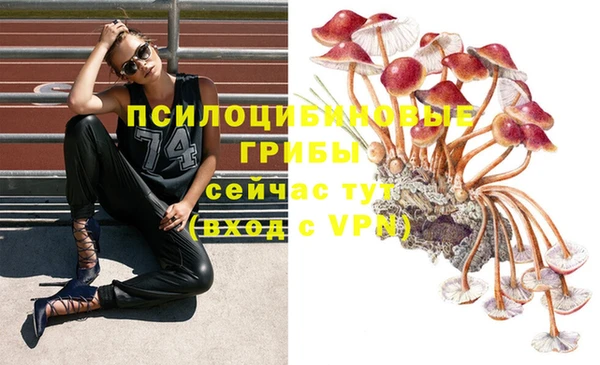 мет Алзамай