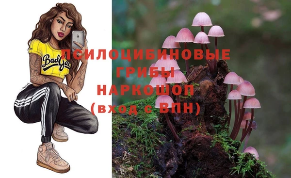спиды Алексеевка