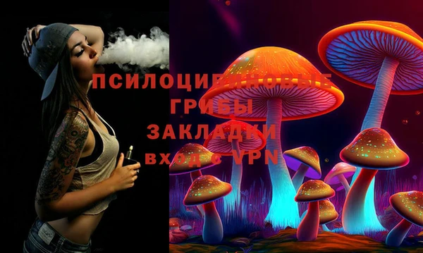 МДПВ Алексин