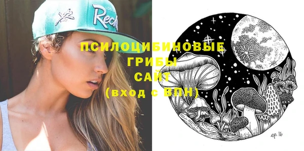 МДПВ Алексин