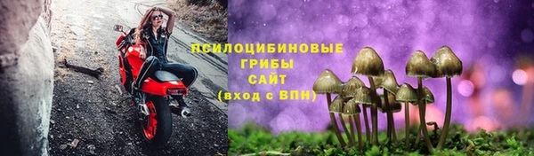 спиды Алексеевка