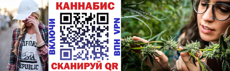 мориарти как зайти  что такое   Солигалич  Марихуана индика 